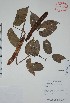  ( - Mtz28865)  @11 [ ] Unspecified (default): All Rights Reserved  Unspecified Unspecified