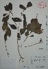 ( - Mtz29491)  @11 [ ] Unspecified (default): All Rights Reserved  Gerardo Salazar 2010 Unspecified