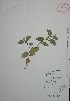  ( - Mtz30017A)  @11 [ ] Unspecified (default): All Rights Reserved  Gerardo Salazar 2010 Unspecified