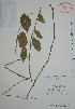  (Adelia - Mtz30190)  @11 [ ] Unspecified (default): All Rights Reserved  Grerardo Salazar 2010 Unspecified