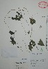  ( - Mtz31476)  @11 [ ] Unspecified (default): All Rights Reserved  Grerardo Salazar 2010 Unspecified