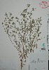  ( - Mtz31539)  @11 [ ] Unspecified (default): All Rights Reserved  Grerardo Salazar 2010 Unspecified