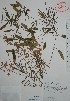  ( - Mtz31575)  @14 [ ] Unspecified (default): All Rights Reserved  Grerardo Salazar 2010 Unspecified