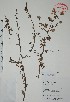  ( - Mtz35343)  @11 [ ] Unspecified (default): All Rights Reserved  Grerardo Salazar 2010 Unspecified