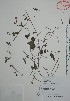  ( - Mtz38301)  @11 [ ] Unspecified (default): All Rights Reserved  Grerardo Salazar, 2028 Unspecified