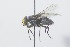  ( - MACN-EN-DIP2024-00D7)  @11 [ ] CC BY-NC-ND 4.0  Unspecified Unspecified