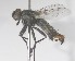  ( - MACN-EN-DIP2024-00EE9)  @11 [ ] CC BY-NC-ND 4.0  Unspecified Unspecified