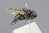  ( - MACN-EN-DIP2023-00HH9)  @11 [ ] CC BY-NC-ND 4.0  Unspecified Unspecified