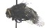  ( - MACN-EN-DIP2024-00HHH6)  @11 [ ] CC BY-NC-ND 4.0  Unspecified Unspecified