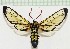  ( - MPUJ_ENT-0060323)  @11 [ ] copyright (2023) Instituto de Investigacion Alexander von Humboldt (IAvH) Unspecified