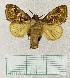  ( - MPUJ_ENT-0076541)  @11 [ ] copyright (2023) Instituto de Investigacion Alexander von Humboldt (IAvH) Unspecified