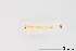  ( - ZOOL576-T04-003)  @11 [ ] CreativeCommons - Attribution Non-Commercial (2018) Rob Alexander University of Calgary