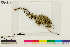  ( - CCDB-33188-G04)  @11 [ ] CreativeCommons - Attribution Non-Commercial Share-Alike (2020) Chris Deduke Canadian Museum of Nature