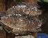  ( - Cam249-7)  @11 [ ] Copyright (2025) Moise Matouke Matouke University of Buea Cameroon