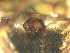  ( - CBG-A54265-E12)  @11 [ ] CC0 (2025) Unspecified Unspecified