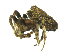  ( - CBG-A54265-E12)  @11 [ ] CC0 (2025) Unspecified Unspecified