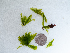  ( - AMS00157)  @11 [ ] by-nc (2022) Unspecified Canadian Museum of Nature