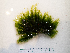  ( - AMS00942)  @11 [ ] by-nc (2022) Unspecified Canadian Museum of Nature