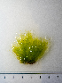  ( - AMS00967)  @11 [ ] by-nc (2022) Unspecified Canadian Museum of Nature