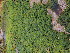  ( - GHM06082301)  @11 [ ] by-nc (2022) Unspecified Canadian Museum of Nature