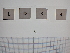  ( - LD00083)  @11 [ ] by-nc (2022) Unspecified Canadian Museum of Nature