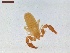  ( - LS-IRBI-CANOP0505)  @11 [ ] Copyright (2021) Lucas Sire Institut de Recherche sur la Biologie de l Insecte