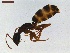  ( - LS-IRBI-CANOP0773)  @12 [ ] Copyright (2021) Lucas Sire Institut de Recherche sur la Biologie de l Insecte