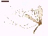  ( - LS-IRBI-CANOP0915)  @11 [ ] Copyright (2021) Lucas Sire Institut de Recherche sur la Biologie de l Insecte