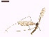  ( - LS-IRBI-CANOP0919)  @11 [ ] Copyright (2021) Lucas Sire Institut de Recherche sur la Biologie de l Insecte