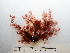  ( - AMS00964)  @11 [ ] by-nc (2022) Unspecified Canadian Museum of Nature