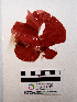  ( - AMS01074)  @11 [ ] by-nc (2022) Unspecified Canadian Museum of Nature