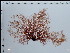  ( - JLC00071)  @11 [ ] by-nc (2022) Unspecified Canadian Museum of Nature