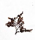  ( - LD00043)  @11 [ ] by-nc (2022) Unspecified Canadian Museum of Nature