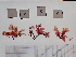 ( - LD00050)  @11 [ ] by-nc (2022) Unspecified Canadian Museum of Nature