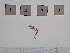  ( - LD00077)  @11 [ ] by-nc  Unspecified Alfred Wegener Institute