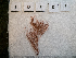  ( - LD00203)  @11 [ ] by-nc  Unspecified Alfred Wegener Institute