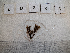  ( - LD00283)  @11 [ ] by-nc (2022) Unspecified Canadian Museum of Nature