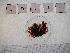  ( - LD00315)  @11 [ ] by-nc  Unspecified Alfred Wegener Institute