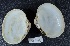  ( - MIB2771)  @11 [ ] © Copyright Government of Canada (2017) Unspecified DFO