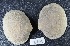  ( - MIB2771)  @11 [ ] © Copyright Government of Canada (2017) Unspecified DFO
