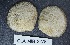  ( - MIB2278)  @11 [ ] © Copyright Government of Canada (2018) Unspecified DFO