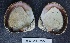  ( - MIB2279)  @11 [ ] © Copyright Government of Canada (2018) Unspecified DFO