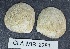  ( - MIB2281)  @11 [ ] © Copyright Government of Canada (2018) Unspecified DFO