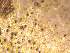  ( - CAP-FUN-010)  @11 [ ] CreativeCommons - Attribution Non-Commercial (2019) Unspecified Norwegian Institute for Nature Research