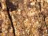  ( - CAP-FUN-052)  @11 [ ] CreativeCommons - Attribution Non-Commercial (2019) Unspecified Norwegian Institute for Nature Research