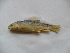  (Capoeta caelestis - AKC5a-C7)  @13 [ ] No Rights Reserved  Unspecified Unspecified