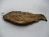  ( - Fit1B-D12)  @11 [ ] No Rights Reserved  Unspecified Unspecified