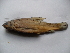  ( - Fit1D-E2)  @13 [ ] No Rights Reserved  Unspecified Unspecified