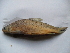  ( - Fit1E-E3)  @13 [ ] No Rights Reserved  Unspecified Unspecified