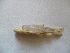  ( - KIBe-F6)  @13 [ ] No Rights Reserved  Unspecified Unspecified